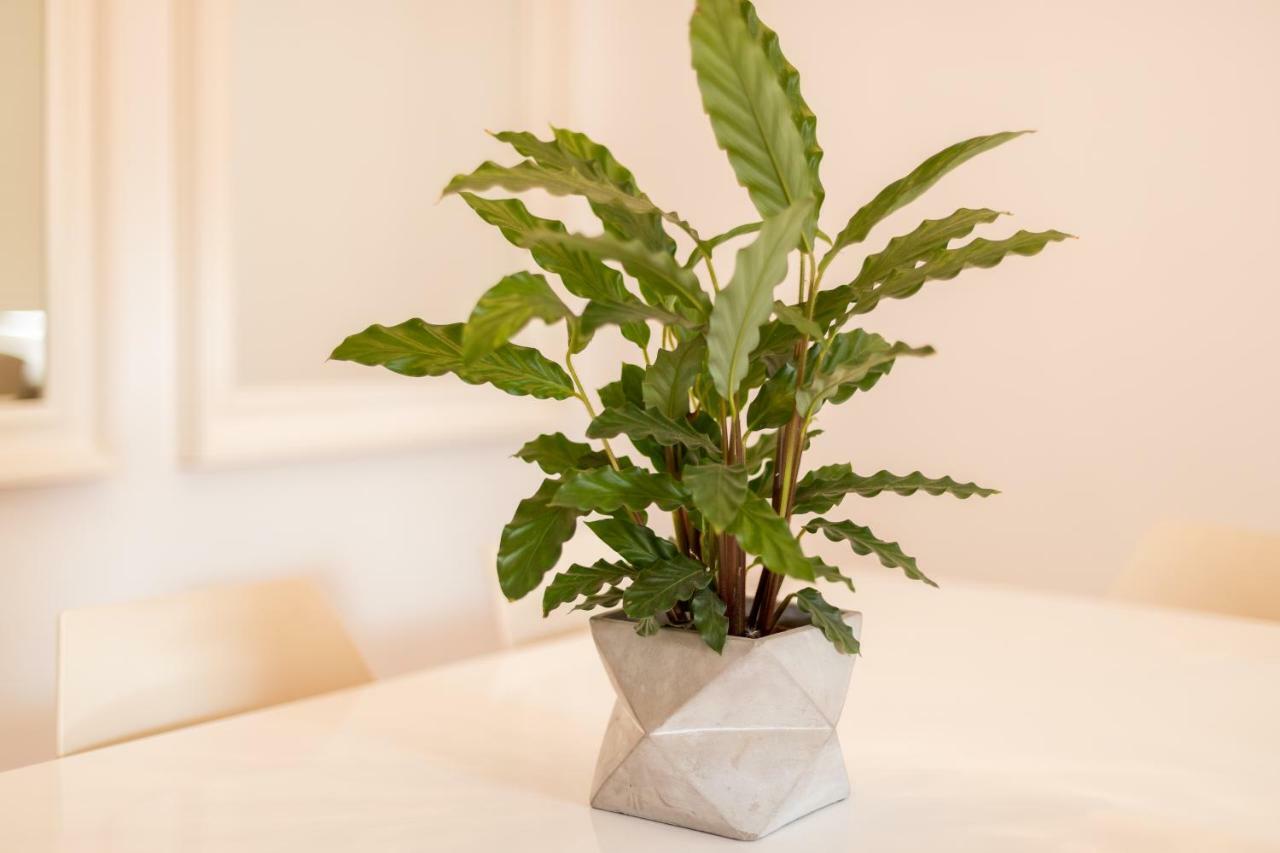Alfama Modern Two-Bedroom Apartment W/ River View And Parking - By Lu Holidays Lisboa 外观 照片